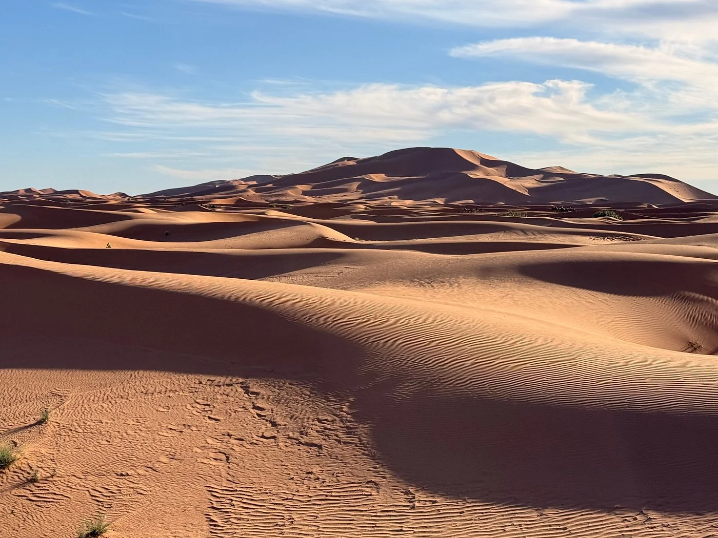Golden Sahara dunes during a twelve-day Morocco tour from Casablanca