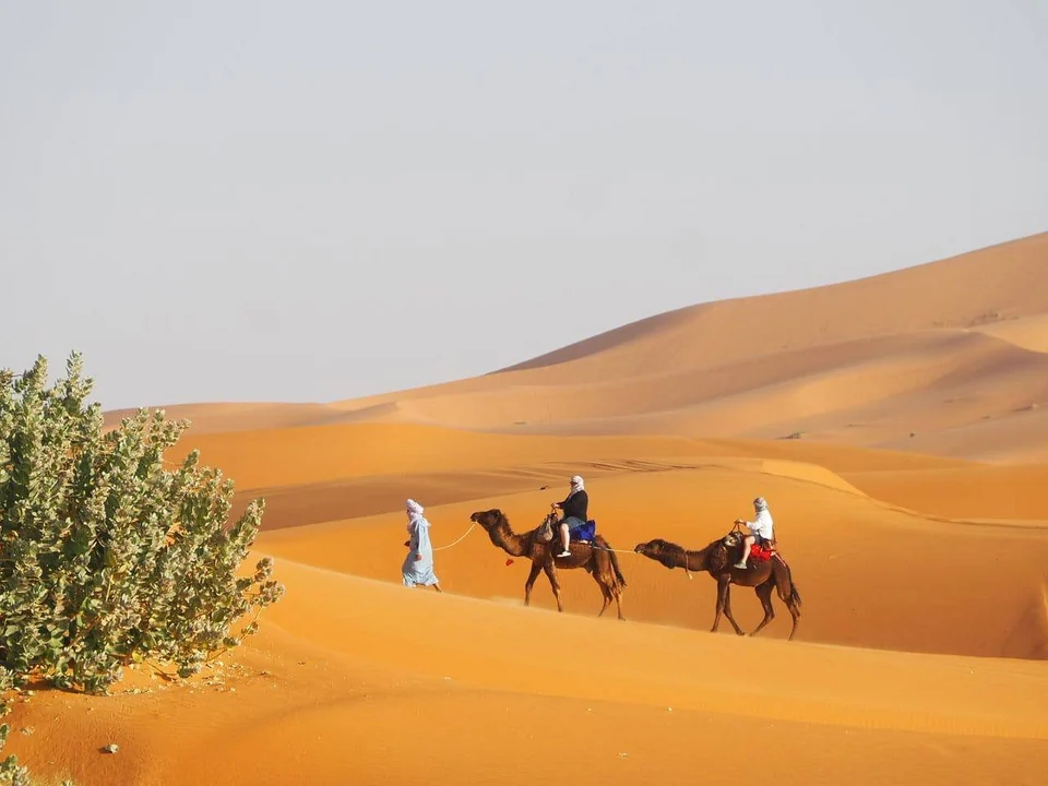 Camel trek crossing the Merzouga dunes during a three-day desert tour from Errachidia