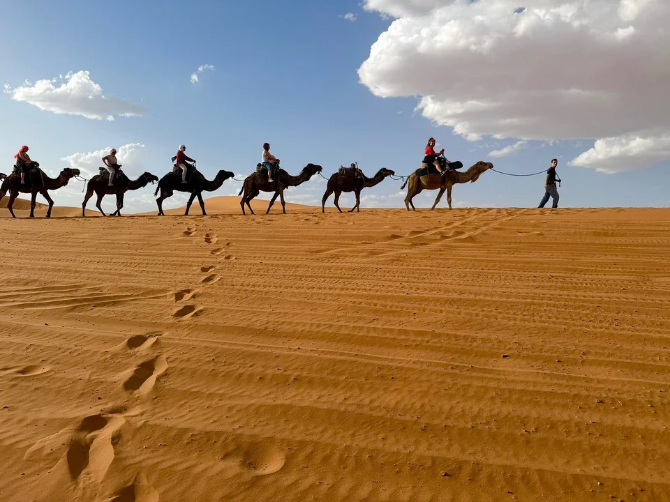 Camel caravan crossing the dunes during a four-day Marrakech to Fes tour