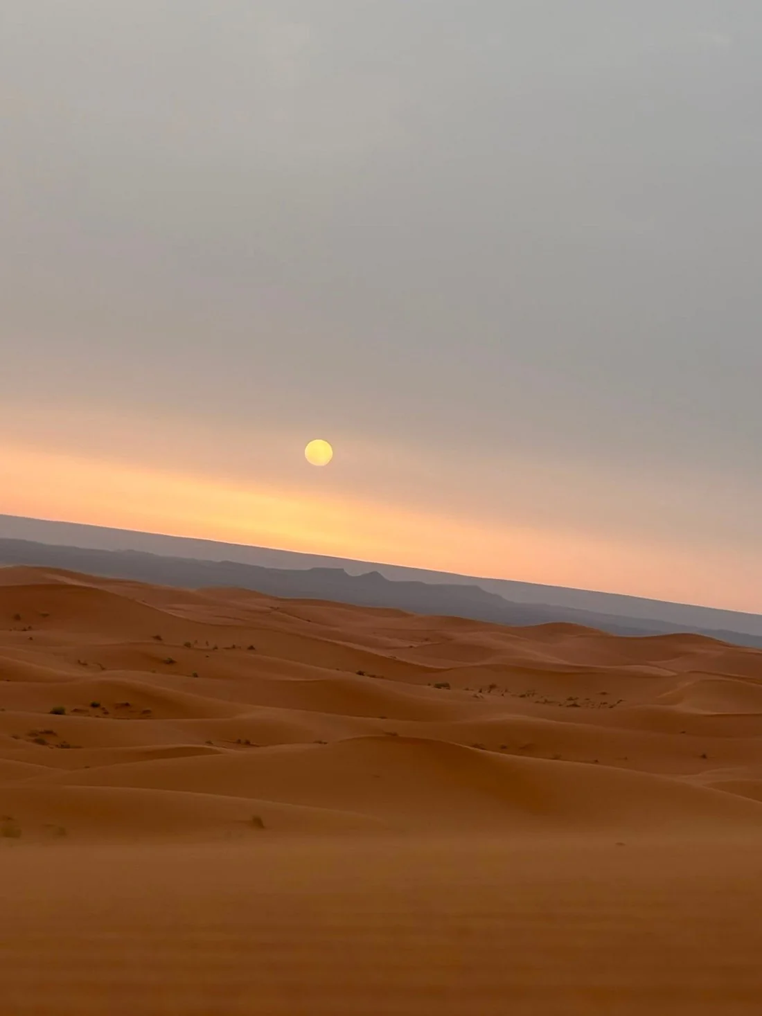 Evening light over the Sahara dunes near Merzouga