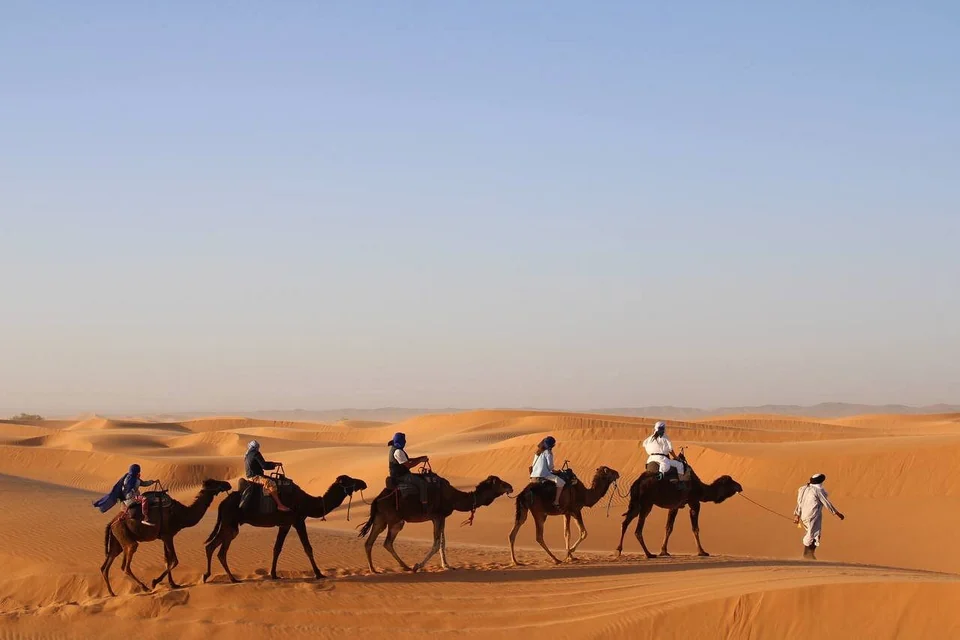 Camel caravan crossing the Sahara during a two-day Ouarzazate to Fes desert tour