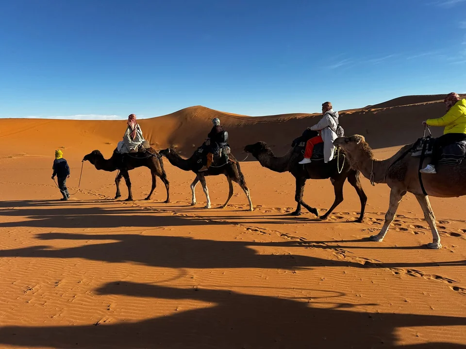 Camel trek through the golden Merzouga dunes during a thirteen-day Morocco tour
