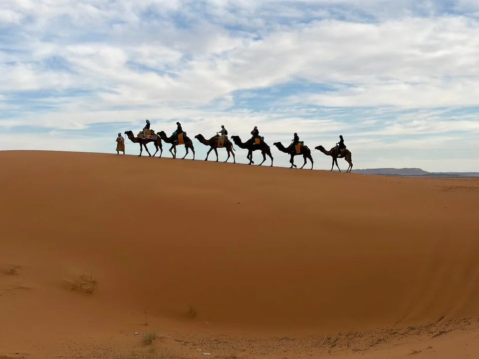 Camel caravan crossing an Erg Chebbi dune during a Tangier to Marrakech desert tour