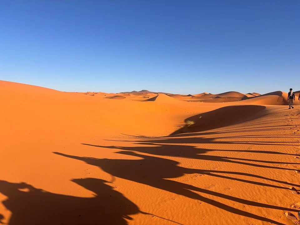 Golden Erg Chebbi dunes during a seven-day Tangier to Marrakech tour